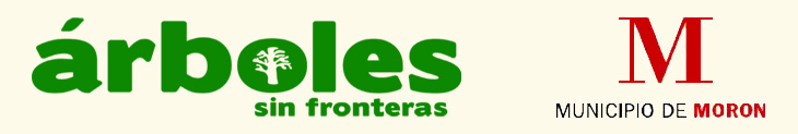 Grupo